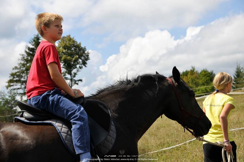 Jezikavka's English Camp with horses