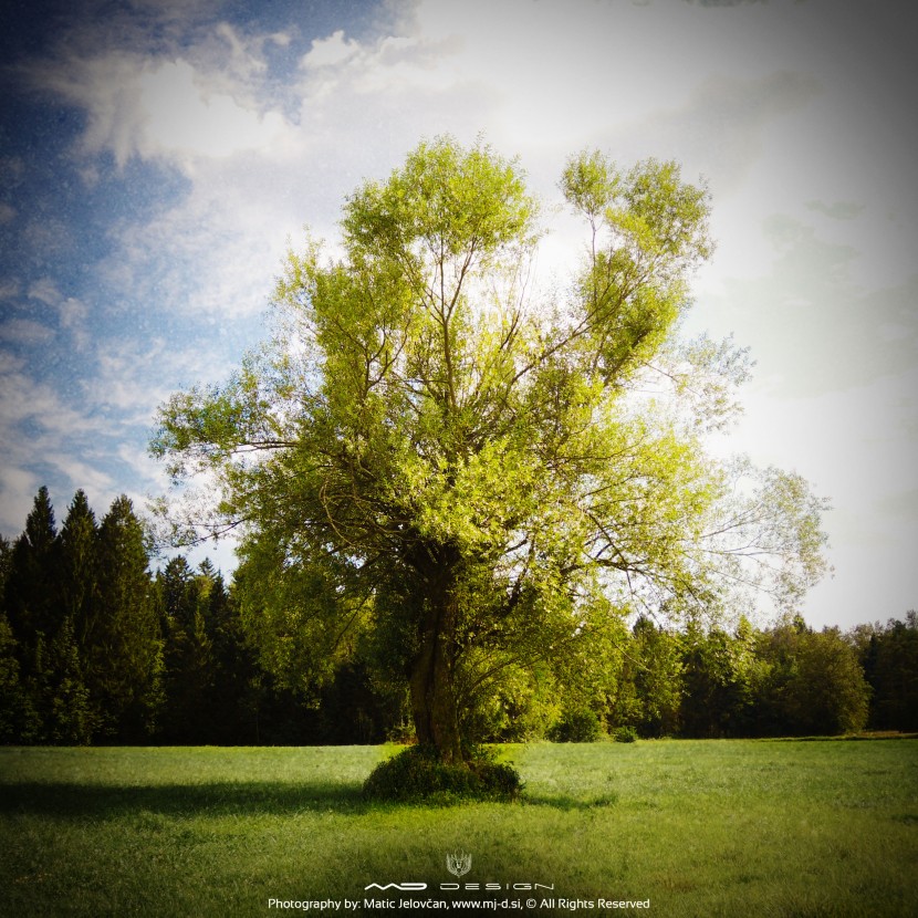 Snaps from "Location Scouting" 2