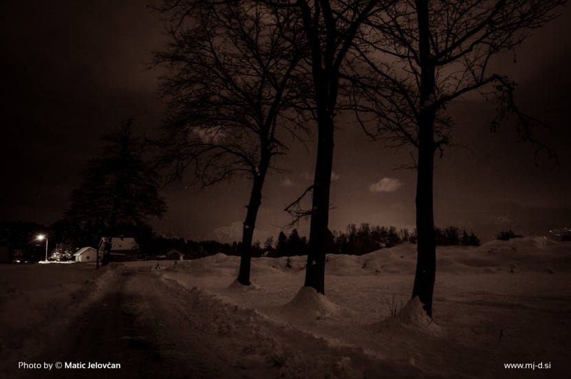 Chilling Winter Night