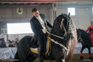 Fieracavalli 2015 4