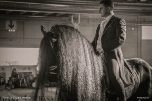 Fieracavalli 2015 2