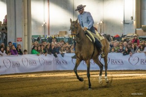 Fieracavalli 2015 27