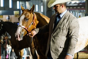 Fieracavalli 2015 6
