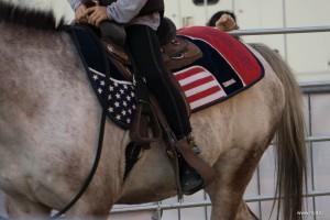 Fieracavalli 2015 36