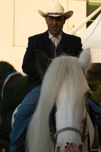 Fieracavalli 2015 37