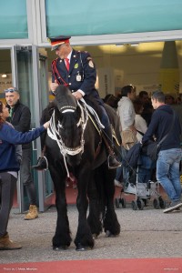Fieracavalli 2015 44