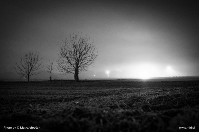 Lonely Christmas 6